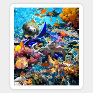 Ocean Dolphin Shark Turtle Coral Sea Fish Orca Whale Reef Sticker